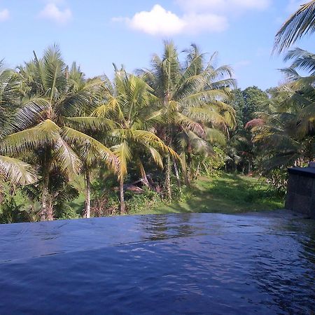 Dewa House Bisma Hotel Ubud Eksteriør billede