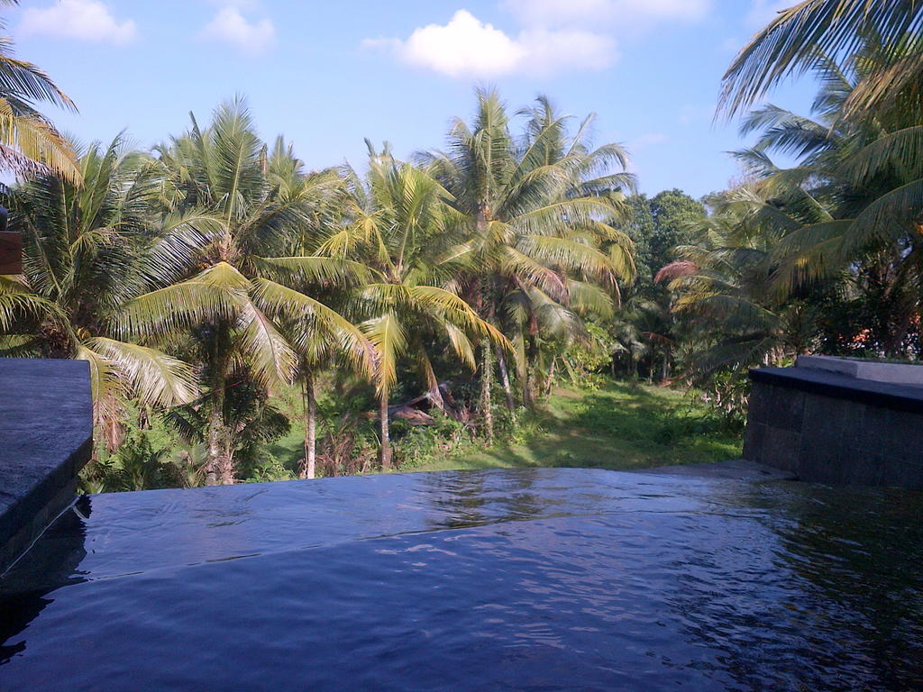 Dewa House Bisma Hotel Ubud Eksteriør billede