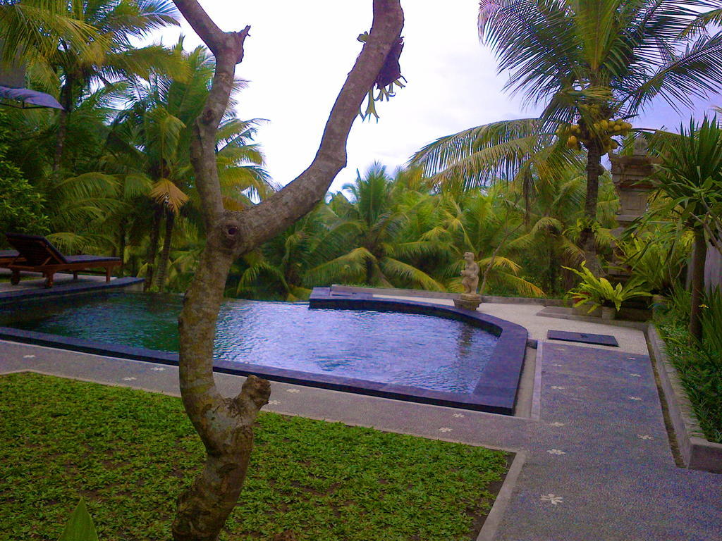Dewa House Bisma Hotel Ubud Eksteriør billede